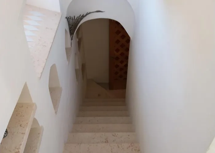 Vittoria בית הארחה אולביה